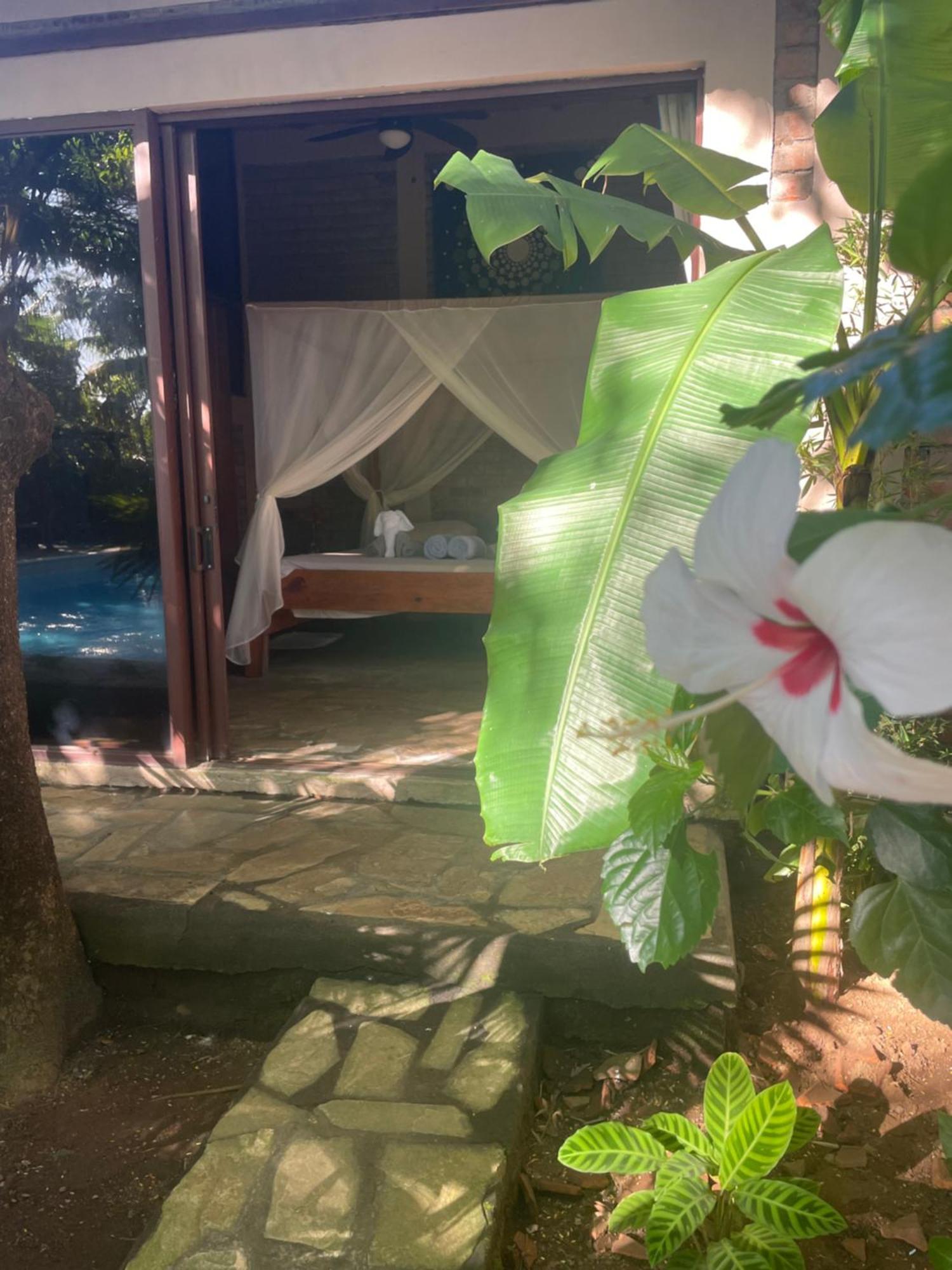 Hostal Casa Abierta León Exteriér fotografie